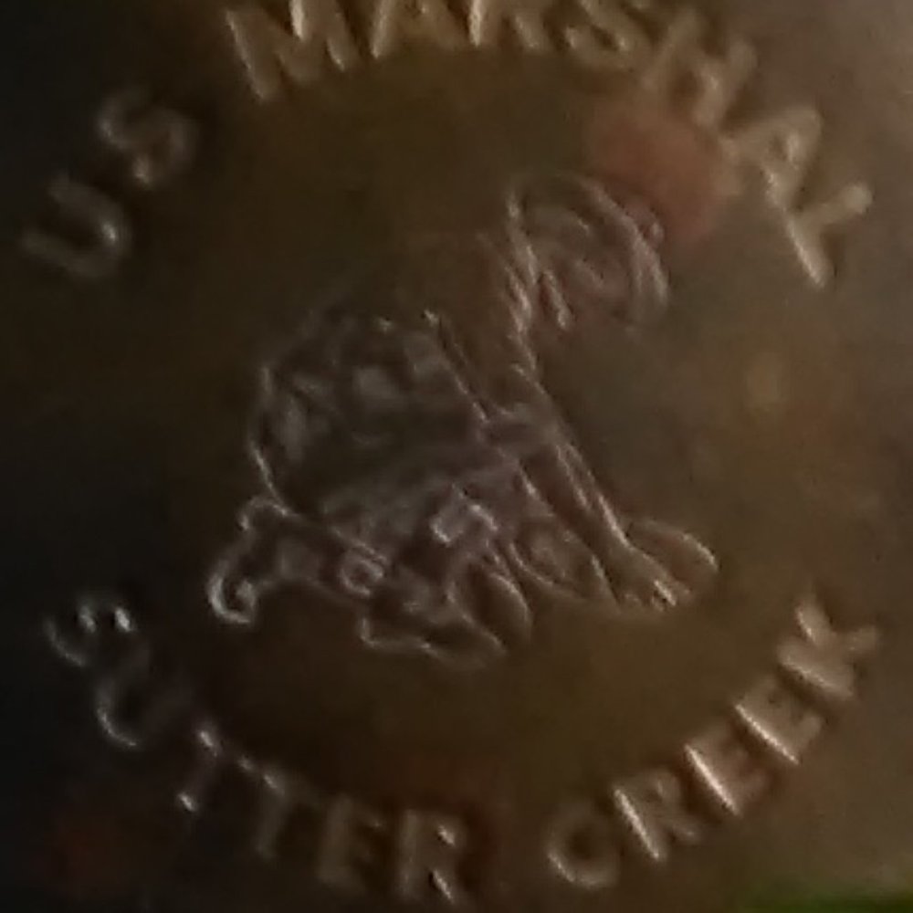 Brass Badge - Picture 2 of 4
